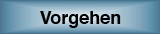  Vorgehen 
